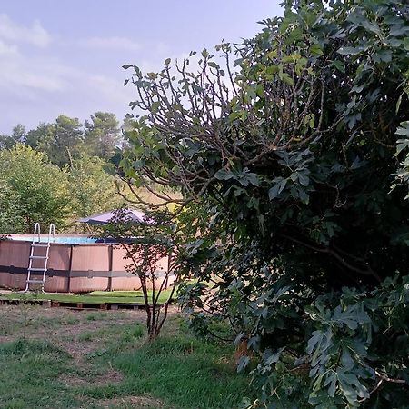 Villa Des Arnoux Dans La Vigne Draguignan Ngoại thất bức ảnh